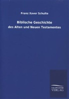 Franz Xaver Schulte - Biblische Geschichte des Alten und Neuen Testamentes