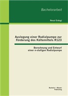 Resul Erdagi - Auslegung einer Radialpumpe zur Förderung des Kältemittels R123