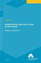 Klaudia Buddemeier, Bundesvereinigung der Deutschen Arbeitgeberverbände - Geringfügige Beschäftigung in der Praxis