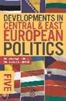 Judy Batt, Paul G. Lewis, Stephe White, Stephen White, Stephen Lewis White, Judy Batt... - Developments in Central and East European Politics 5
