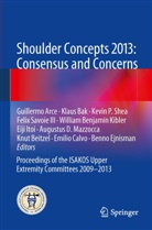 Guillermo Arce, Klau Bak, Klaus Bak, Knut Beitzel, Emilio Calvo, Benno Ejnisman... - Shoulder Concepts 2013: Consensus and Concerns