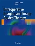 Feren A Jolesz, Ferenc A Jolesz, Ferenc Jolesz, Ferenc A. Jolesz - Intraoperative Imaging and Image-Guided Therapy