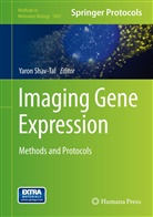 Yaro Shav-Tal, Yaron Shav-Tal - Imaging Gene Expression