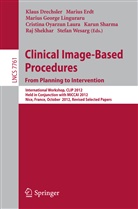 Klaus Drechsler, Mariu Erdt, Marius Erdt, Marius George Lingurau et al, Marius George Linguraru, Marius George Lingurau... - Clinical Image-Based Procedures. From Planning to Intervention