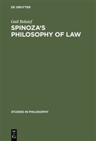 Gail Belaief - Spinoza's Philosophy of Law
