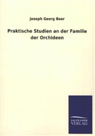 Joseph G. Beer, Joseph Georg Beer - Praktische Studien an der Familie der Orchideen