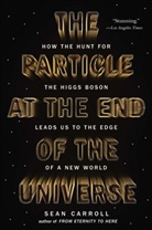 Sean Carroll - The Particle at the End of the Universe