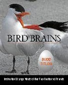 Budd Titlow, Titlow Budd - Bird Brains