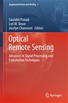 Lori M. Bruce, Jocelyn Chanussot, Lor M Bruce, Lori M Bruce, Saurabh Prasad - Optical Remote Sensing