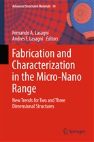 Fernand A Lasagni, Fernando A Lasagni, F Lasagni, F Lasagni, Andrés F. Lasagni, Fernando A. Lasagni - Fabrication and Characterization in the Micro-Nano Range
