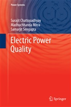 Suraji Chattopadhyay, Surajit Chattopadhyay, Madhuchhand Mitra, Madhuchhanda Mitra, Sengupt, Samarjit Sengupta - Electric Power Quality