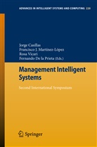 Jorge Casillas, Fernando de la Prieta, Francisc J Martínez-López, Francisco J Martínez-López, Fernando De La Prieta, Francisco J. Martínez-López... - Management Intelligent Systems