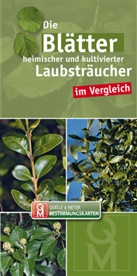 Die Blätter heimischer und kultivierter Laubsträucher im Vergleich