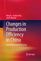 Junzo Watada, Bin Xu, Bing Xu, Juyin Zeng, Juying Zeng - Changes in Production Efficiency in China