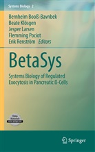 Bernhelm Booss-Bavnbek, Beate Kloesgen, Beat Klösgen, Beate Klösgen, Jesper Larsen, Jesper Larsen et al... - BetaSys