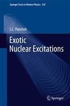 S C Pancholi, S. C. Pancholi, S.C. Pancholi - Exotic Nuclear Excitations