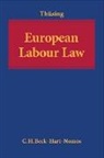 Gregor Thusing, Gregor Thüsing - European Labour Law