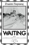 Dumitru Tsepeneag - Waiting
