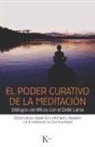 Richard J. Davidson, Jon Kabat-Zinn - El poder curativo de la meditación : diálogos con el Dalái Lama