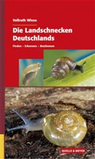 Vollrath Wiese - Die Landschnecken Deutschlands