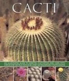Terry Hewitt - Cacti