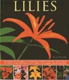 Andrew Mikolajski, Mikolajski Andrew, Peter Anderson - Lilies