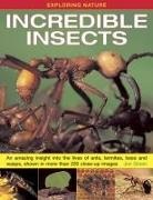 Dr Jen Green, Jen Green, Green Jen - Exploring Nature: Incredible Insects