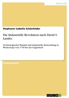 Stephanie Isabella Schönfelder - Die Industrielle Revolution nach David S. Landes