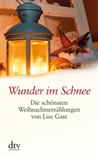 Lise Gast - Wunder im Schnee. Die schönsten Weihnachtserzählungen von Lise Gast