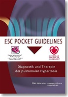 Vorstan der Deutschen Gesellschaft für K, Deutsch Gesellschaft für Kardiologie - Diagnostik und Therapie der pulmonalen Hypertonie