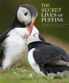 Dominic Couzens, Mark Sisson, Mark Sisson - The Secret Lives of Puffins