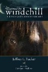 Jeffrey L Tucker, Jeffrey L. Tucker, Jeffrey L./ Stull Tucker - Warmed By Windchill