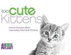 Animal Planet, Animal Planet Animal Planet, Inc Discovery Licensing, Inc. (COR) Discovery Licensing, Animal Planet - Too Cute Kittens