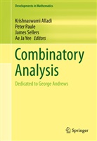 Krishnaswami Alladi, Pete Paule, Peter Paule, James Sellers, James Sellers et al, Ae Ja Yee - Combinatory Analysis