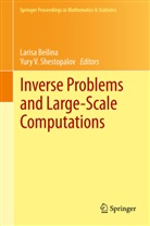Laris Beilina, Larisa Beilina, Yury V. Shestopalov, V Shestopalov, V Shestopalov - Inverse Problems and Large-Scale Computations