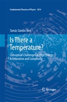 Tamás Sándor Biró - Is There a Temperature?