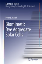 Peter L Marek, Peter L. Marek - Biomimetic Dye Aggregate Solar Cells
