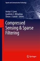 Avishy Y. Carmi, Simon J. Godsill, Simon J Godsill, Lyudmil Mihaylova, Lyudmila Mihaylova, Lyudmila S. Mihaylova - Compressed Sensing & Sparse Filtering