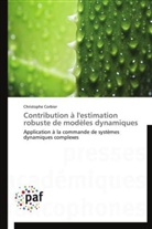 Christophe Corbier, Corbier-c - Contribution a l estimation