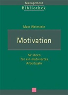 Matt Weinstein - Motivation