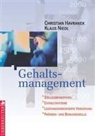 Christian Havranek, Klaus Niedl - Gehaltsmanagement