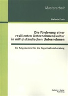 Stefanie Fisch - Die Förderung einer resilienten Unternehmenskultur in mittelständischen Unternehmen: Ein Aufgabenfeld für die Organisationsberatung
