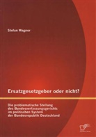 Stefan Wagner - Ersatzgesetzgeber oder nicht?