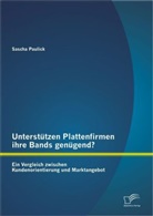 Sascha Paulick - Unterstützen Plattenfirmen ihre Bands genügend?