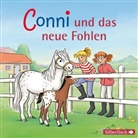 Julia Boehme, Christian Tielmann - Conni und das neue Fohlen, 1 Audio-CD (Hörbuch)