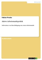 Fabian Proske - Aktive Arbeitsmarktpolitik