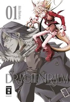 Akira Himekawa - Drachentraum. Bd.1