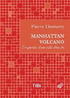 Pierre Demarty, Pierre (1976-....) Demarty, Demarty Pierre, Demarty/pierre, Pierre Demarty - Manhattan Volcano : fragments d'une ville dévastée