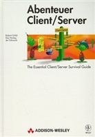 Jeri Edwards, Dan Harkey, Robert Orfali - Abenteuer Client/Server. The Essential Client/Server Survival Guide, dtsch. Ausg.