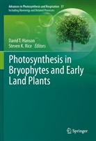 David T. Hanson, K Rice, K Rice, Steven K. Rice, Davi T Hanson, David T Hanson - Photosynthesis in Bryophytes and Early Land Plants